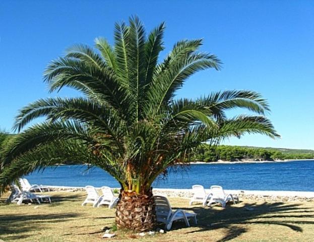 Villa Mia Casa Supetar Εξωτερικό φωτογραφία